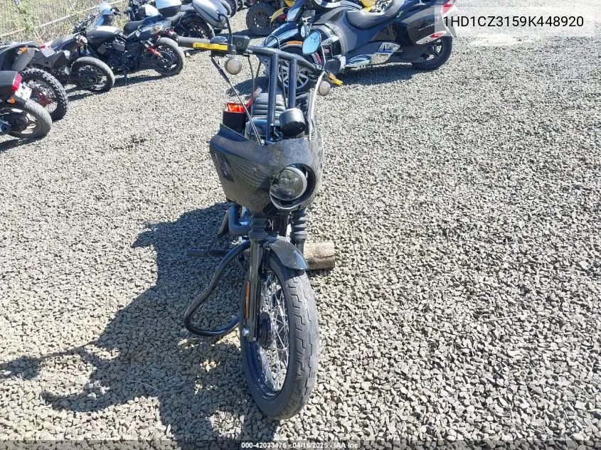 2009 Harley-Davidson Xl1200 N VIN: 1HD1CZ3159K448920 Lot: 42033475