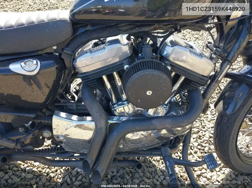 2009 Harley-Davidson Xl1200 N VIN: 1HD1CZ3159K448920 Lot: 42033475