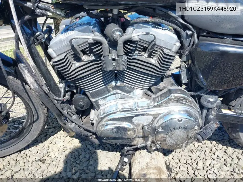 2009 Harley-Davidson Xl1200 N VIN: 1HD1CZ3159K448920 Lot: 42033475