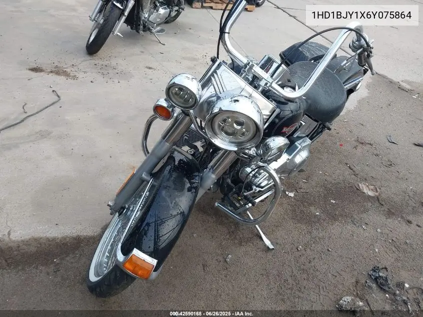 2006 Harley-Davidson Flstc VIN: 1HD1BJY1X6Y075864 Lot: 42590168