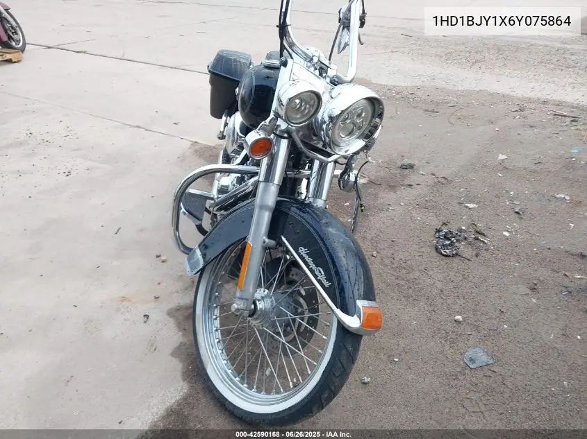 2006 Harley-Davidson Flstc VIN: 1HD1BJY1X6Y075864 Lot: 42590168