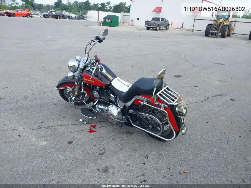 2010 Harley-Davidson Flstc VIN: 1HD1BW516AB036802 Lot: 42506088