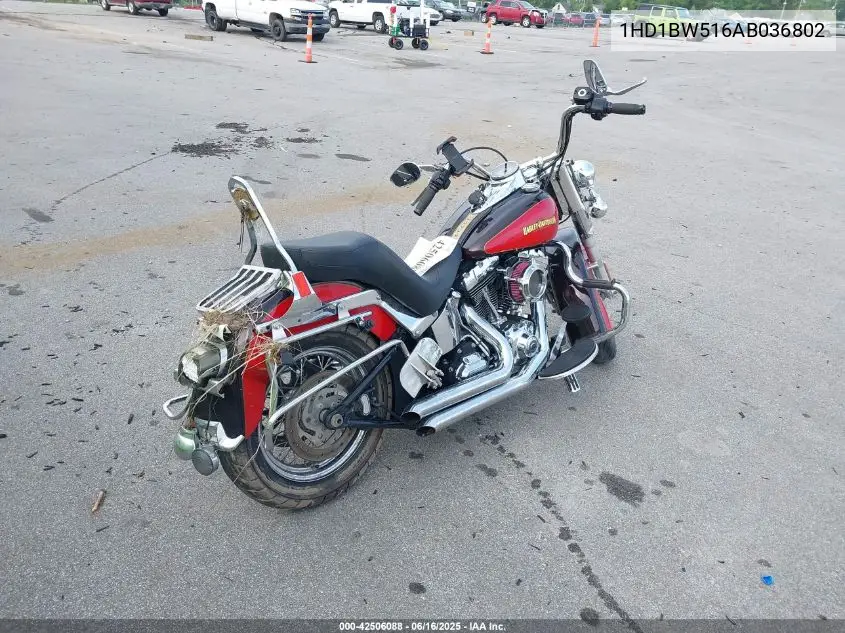 2010 Harley-Davidson Flstc VIN: 1HD1BW516AB036802 Lot: 42506088
