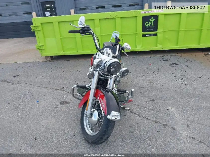 2010 Harley-Davidson Flstc VIN: 1HD1BW516AB036802 Lot: 42506088