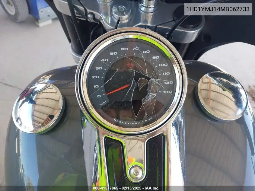 2021 Harley-Davidson Flsb VIN: 1HD1YMJ14MB062733 Lot: 41577865