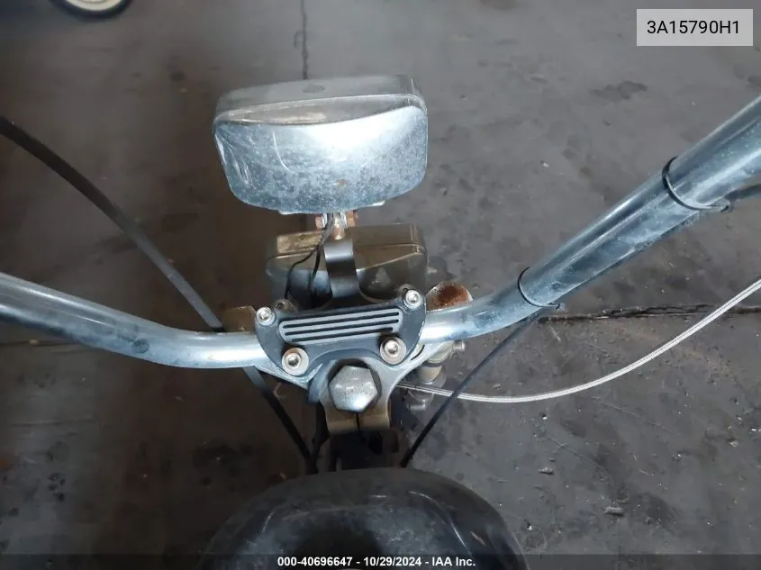 1971 Harley-Davidson Xlh VIN: 3A15790H1 Lot: 40696647
