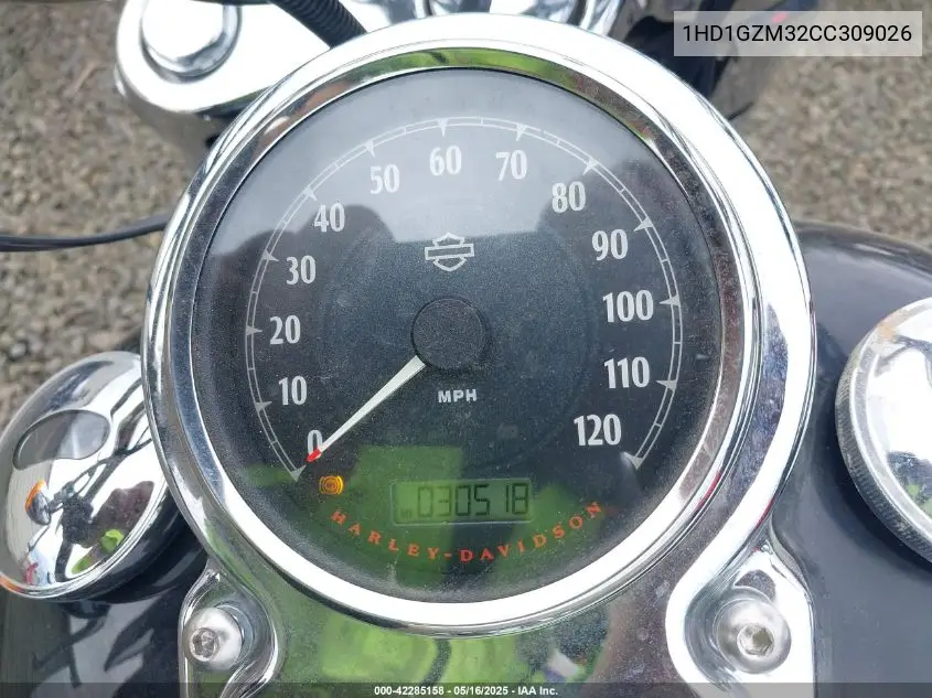 2012 Harley-Davidson Fld Switchback VIN: 1HD1GZM32CC309026 Lot: 42285158