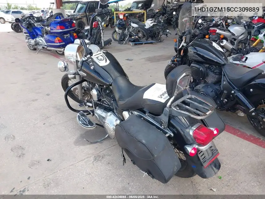 2012 Harley-Davidson Fld Switchback VIN: 1HD1GZM15CC309889 Lot: 42436065