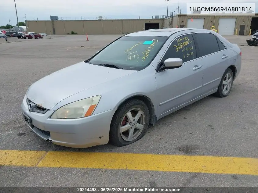 2004 Honda Accord Ex-L VIN: 1HGCM56694A801814 Lot: 20214493