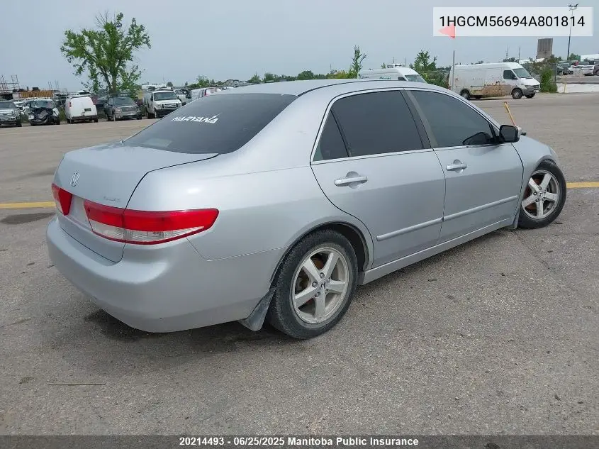 2004 Honda Accord Ex-L VIN: 1HGCM56694A801814 Lot: 20214493