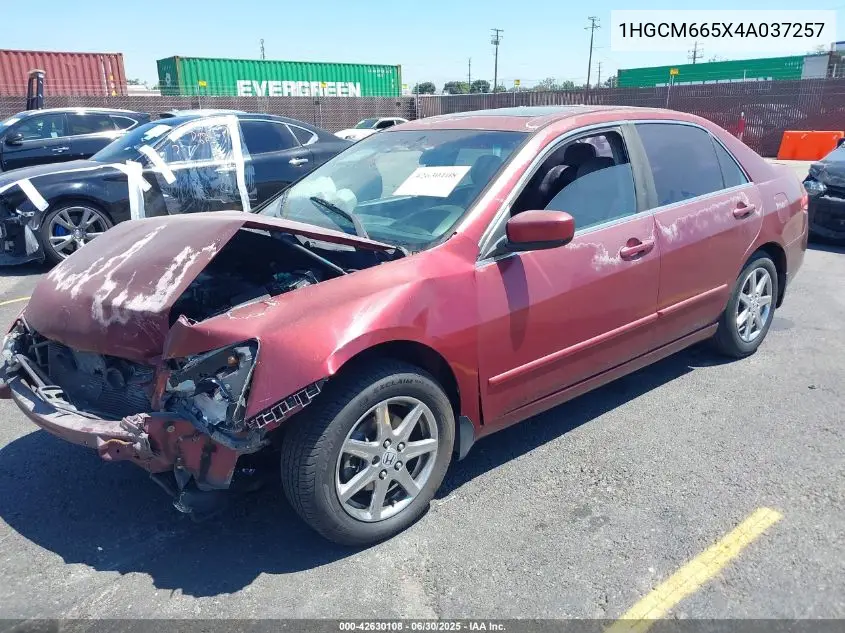 2004 Honda Accord 3.0 Ex VIN: 1HGCM665X4A037257 Lot: 42630108