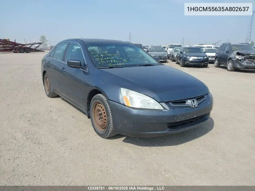 2005 Honda Accord Ex VIN: 1HGCM55635A802637 Lot: 12335781