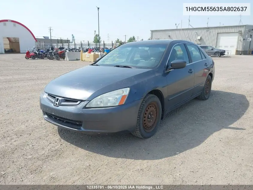 2005 Honda Accord Ex VIN: 1HGCM55635A802637 Lot: 12335781