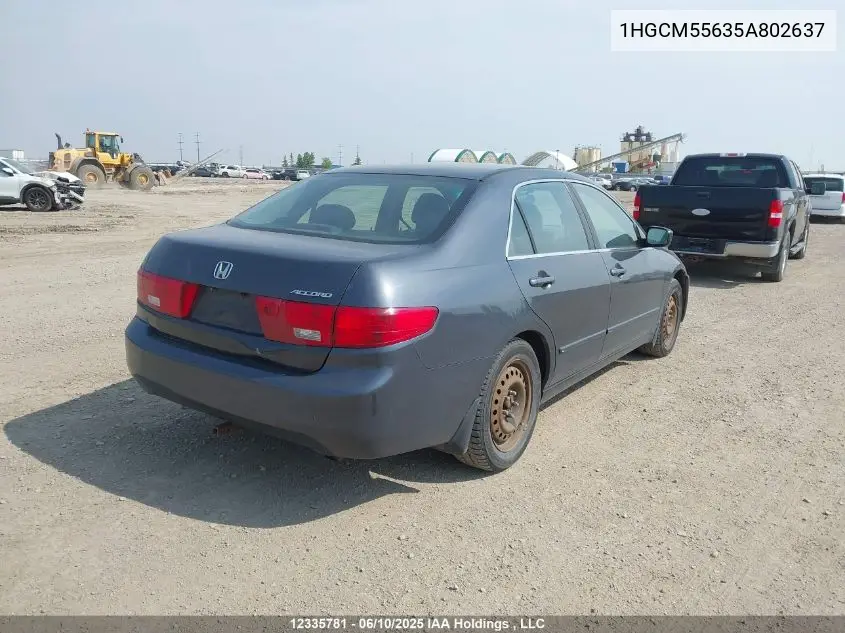 2005 Honda Accord Ex VIN: 1HGCM55635A802637 Lot: 12335781