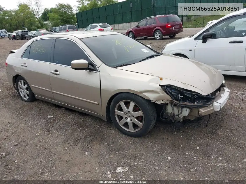 2005 Honda Accord 3.0 Ex VIN: 1HGCM66525A018851 Lot: 42261030