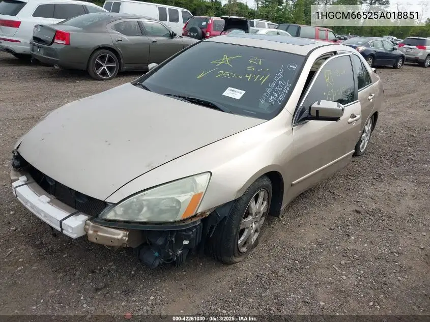 2005 Honda Accord 3.0 Ex VIN: 1HGCM66525A018851 Lot: 42261030