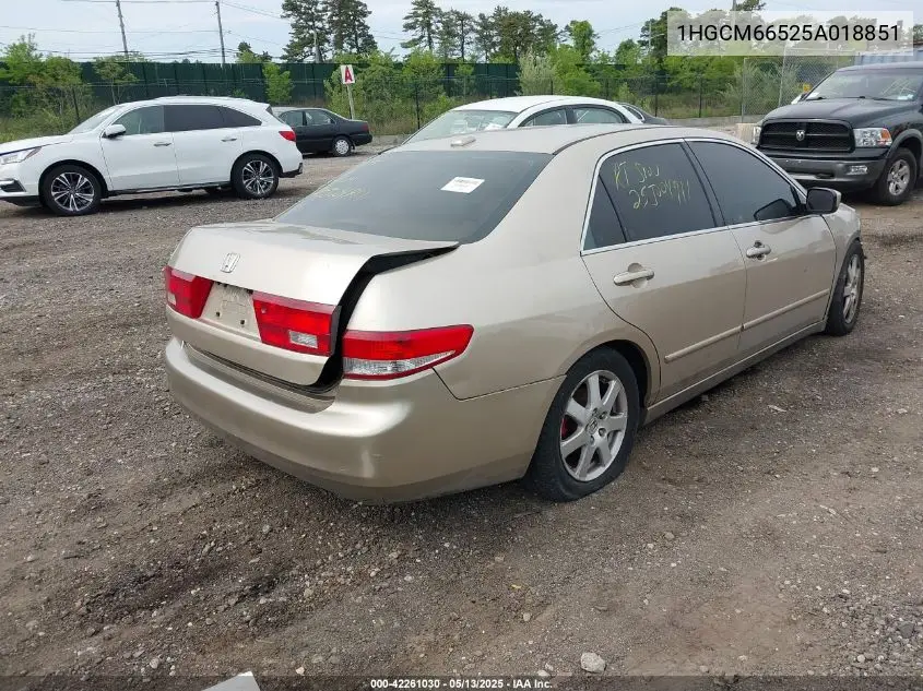 2005 Honda Accord 3.0 Ex VIN: 1HGCM66525A018851 Lot: 42261030