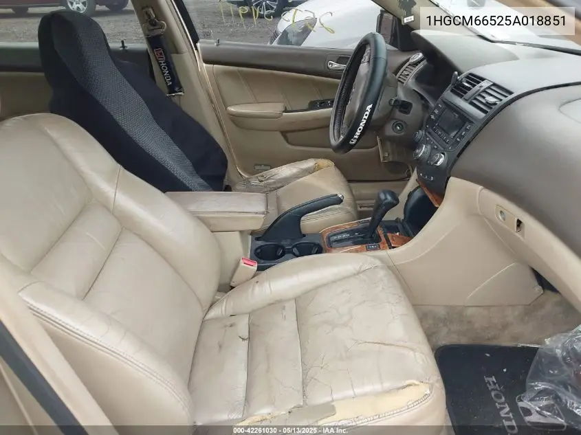 2005 Honda Accord 3.0 Ex VIN: 1HGCM66525A018851 Lot: 42261030