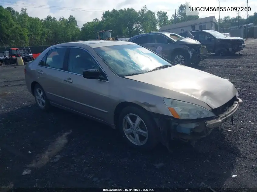 2005 Honda Accord Ex VIN: 1HGCM56855A097260 Lot: 42635229