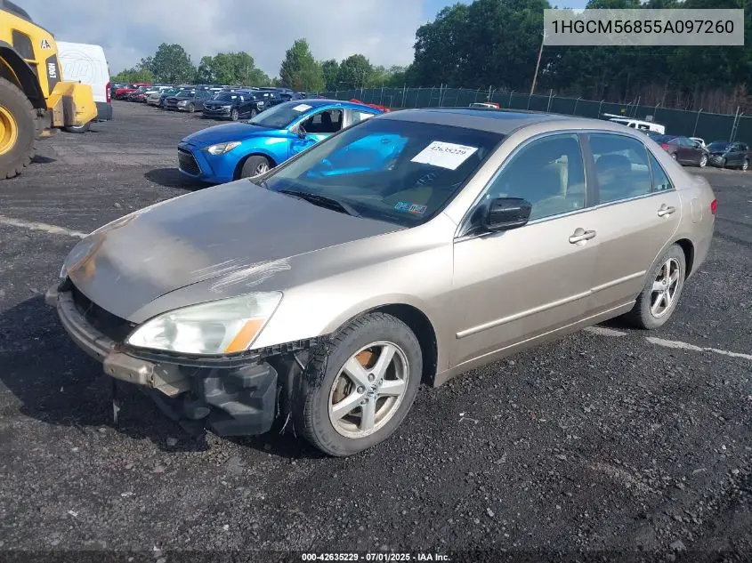 2005 Honda Accord Ex VIN: 1HGCM56855A097260 Lot: 42635229