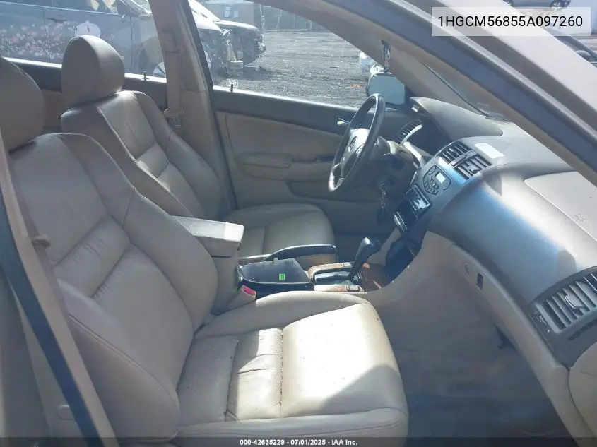 2005 Honda Accord Ex VIN: 1HGCM56855A097260 Lot: 42635229