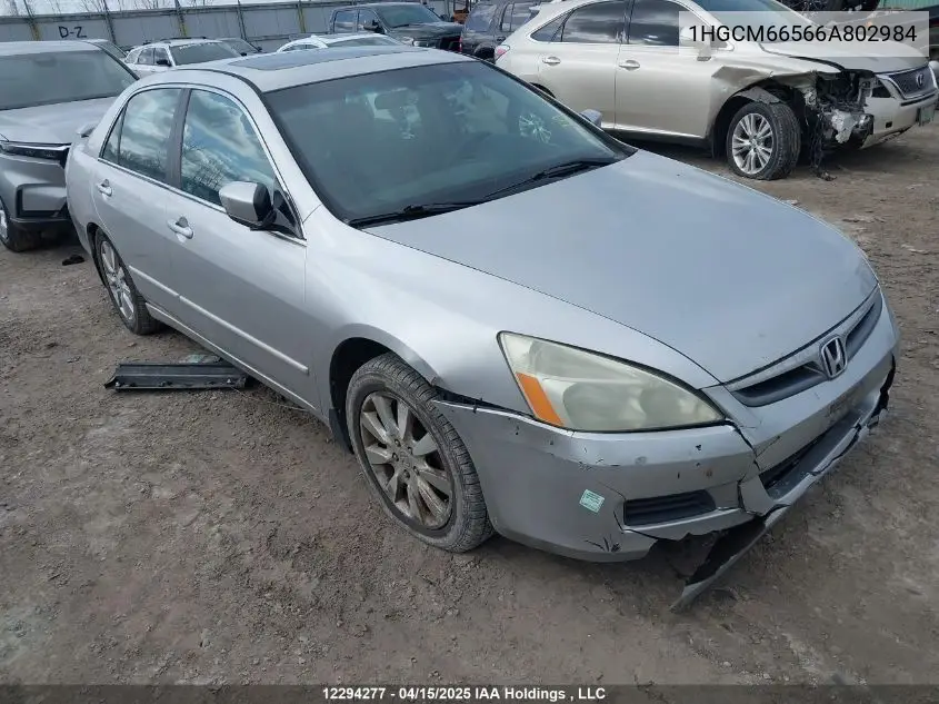 2006 Honda Accord VIN: 1HGCM66566A802984 Lot: 12294277