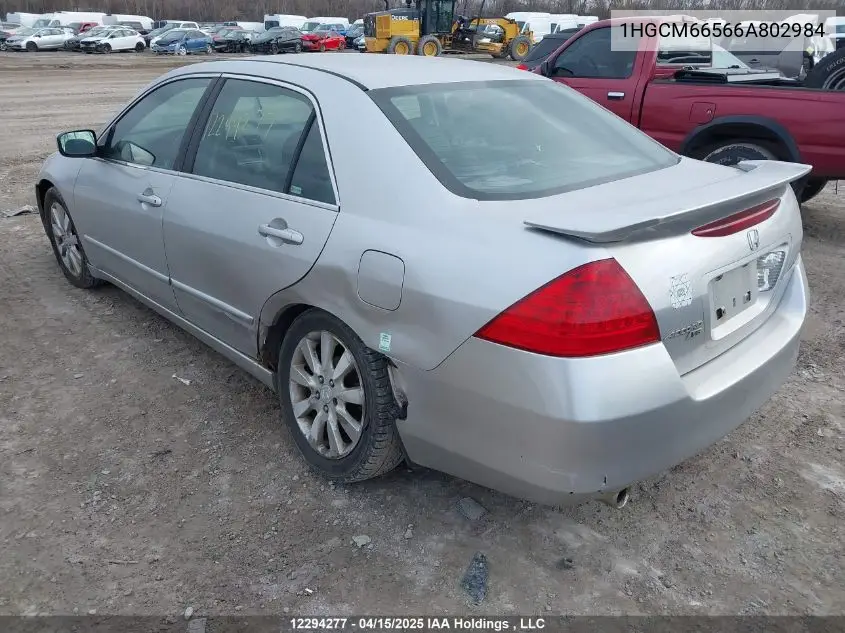 2006 Honda Accord VIN: 1HGCM66566A802984 Lot: 12294277