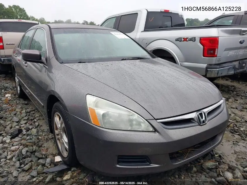 2006 Honda Accord Ex VIN: 1HGCM56866A125228 Lot: 42252525