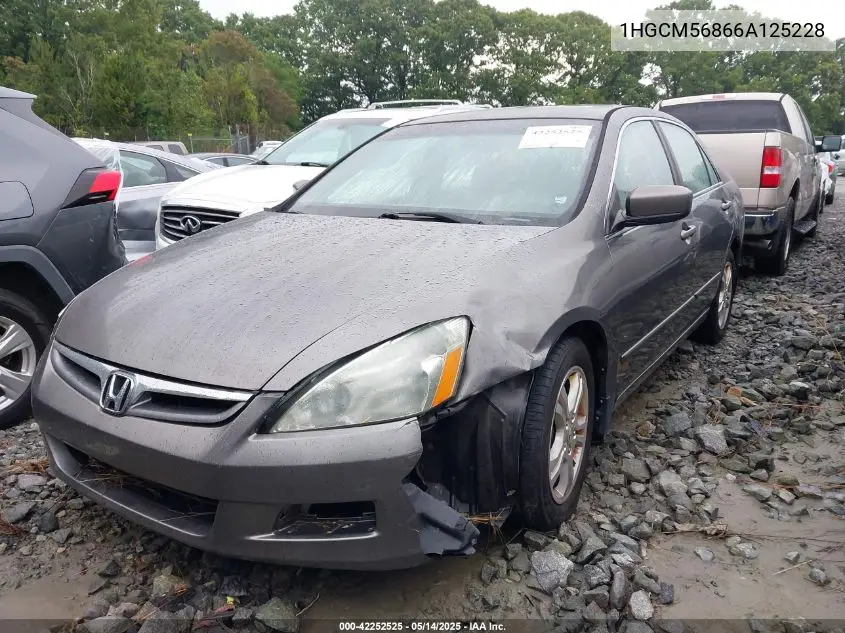 2006 Honda Accord Ex VIN: 1HGCM56866A125228 Lot: 42252525