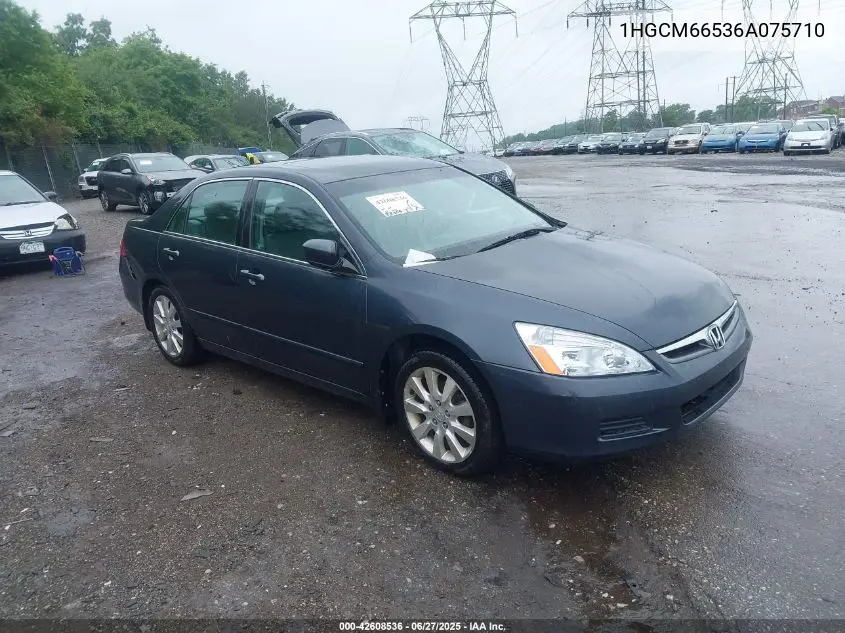 2006 Honda Accord 3.0 Ex VIN: 1HGCM66536A075710 Lot: 42608536