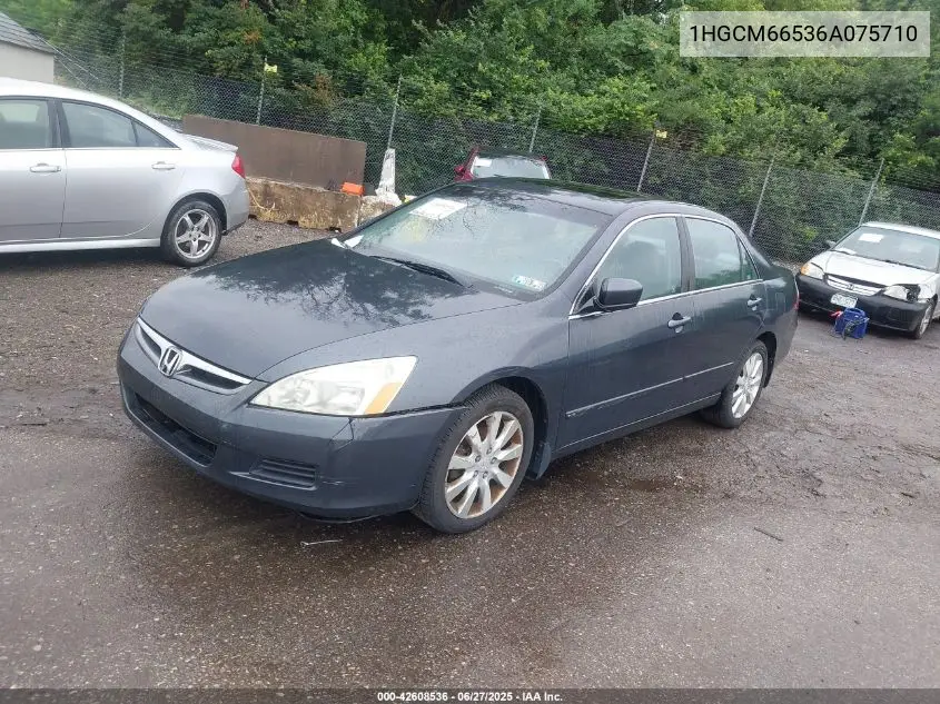 2006 Honda Accord 3.0 Ex VIN: 1HGCM66536A075710 Lot: 42608536