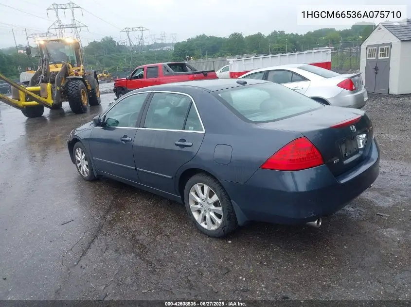 2006 Honda Accord 3.0 Ex VIN: 1HGCM66536A075710 Lot: 42608536