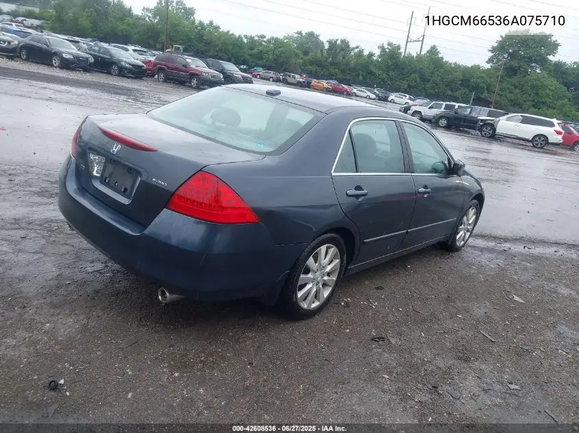 2006 Honda Accord 3.0 Ex VIN: 1HGCM66536A075710 Lot: 42608536