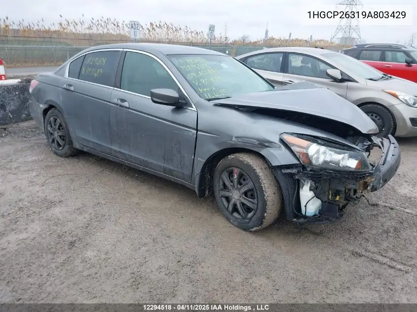 2009 Honda Accord Lx VIN: 1HGCP26319A803429 Lot: 12294518