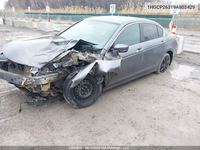2009 Honda Accord Lx VIN: 1HGCP26319A803429 Lot: 12294518