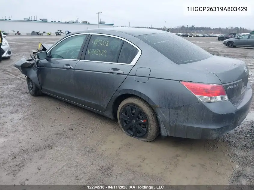 2009 Honda Accord Lx VIN: 1HGCP26319A803429 Lot: 12294518