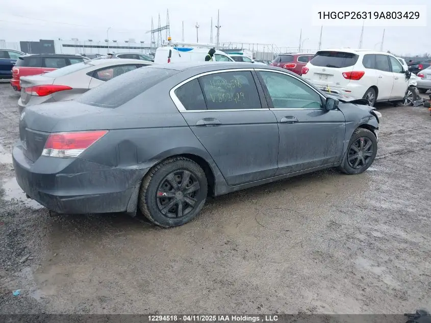 2009 Honda Accord Lx VIN: 1HGCP26319A803429 Lot: 12294518