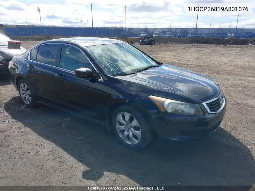 2009 Honda Accord Exl VIN: 1HGCP26819A801076 Lot: 12301078