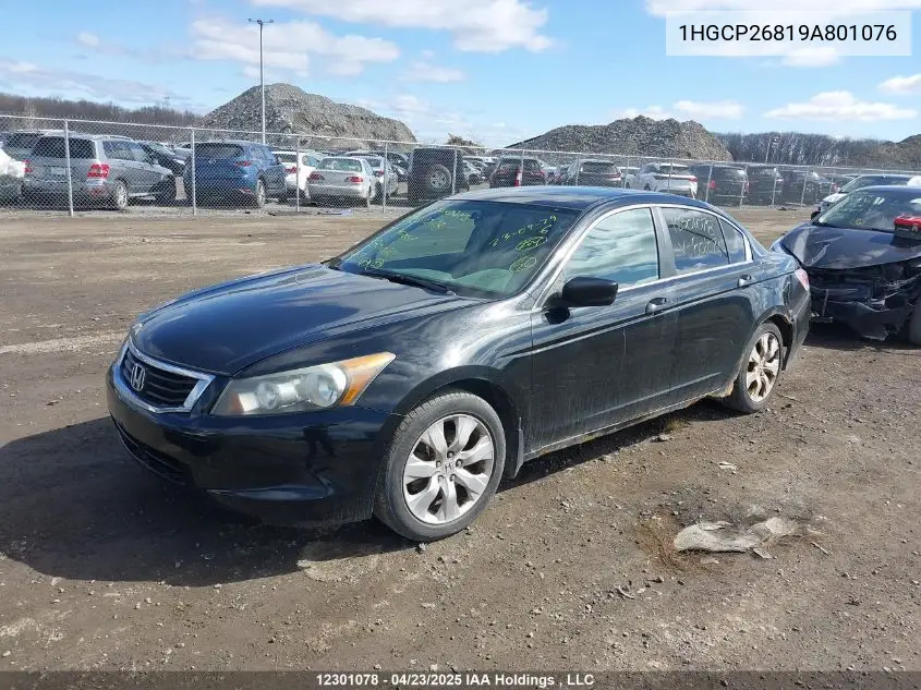 2009 Honda Accord Exl VIN: 1HGCP26819A801076 Lot: 12301078