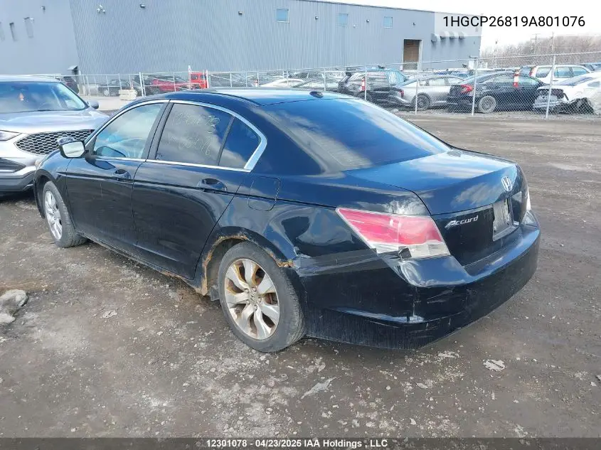 2009 Honda Accord Exl VIN: 1HGCP26819A801076 Lot: 12301078