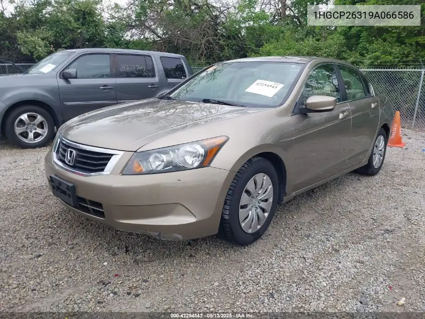 2009 Honda Accord 2.4 Lx VIN: 1HGCP26319A066586 Lot: 42254543