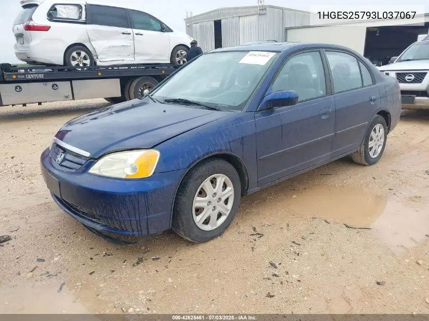 2003 Honda Civic Ex VIN: 1HGES25793L037067 Lot: 42625461