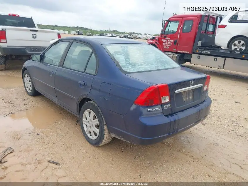 2003 Honda Civic Ex VIN: 1HGES25793L037067 Lot: 42625461