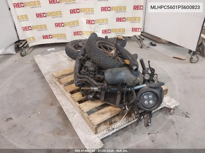 2023 Honda Cmx500 VIN: MLHPC5601P5600823 Lot: 41460726