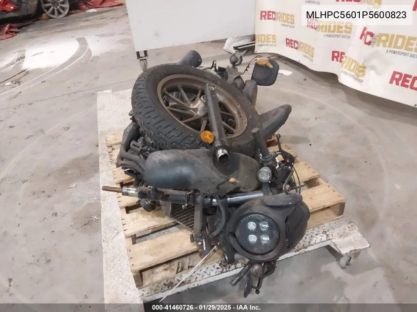 2023 Honda Cmx500 VIN: MLHPC5601P5600823 Lot: 41460726