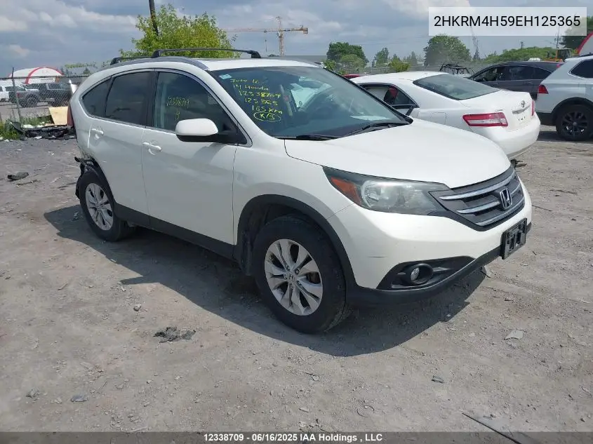 2014 Honda Cr-V Ex VIN: 2HKRM4H59EH125365 Lot: 12338709