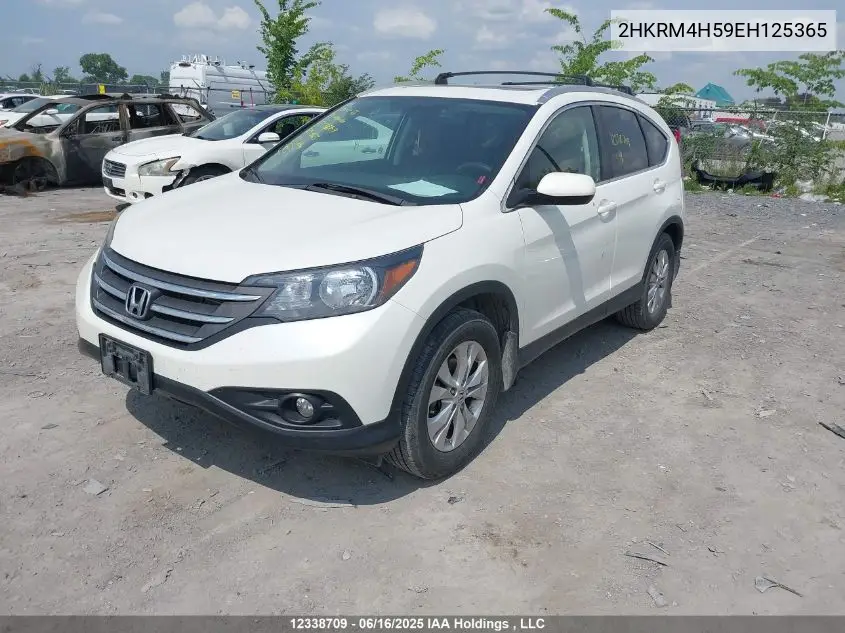 2014 Honda Cr-V Ex VIN: 2HKRM4H59EH125365 Lot: 12338709