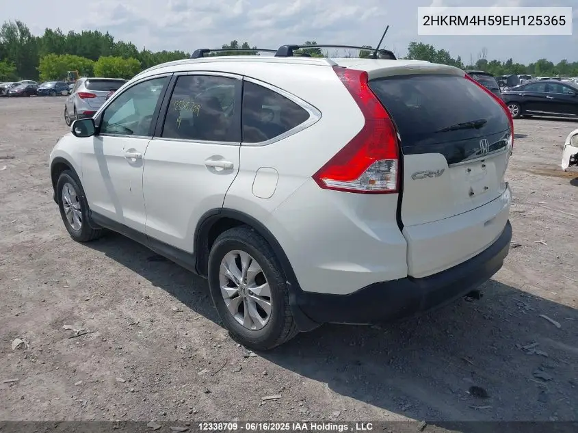 2014 Honda Cr-V Ex VIN: 2HKRM4H59EH125365 Lot: 12338709