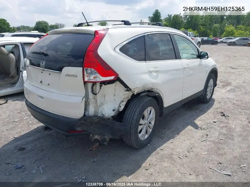 2014 Honda Cr-V Ex VIN: 2HKRM4H59EH125365 Lot: 12338709
