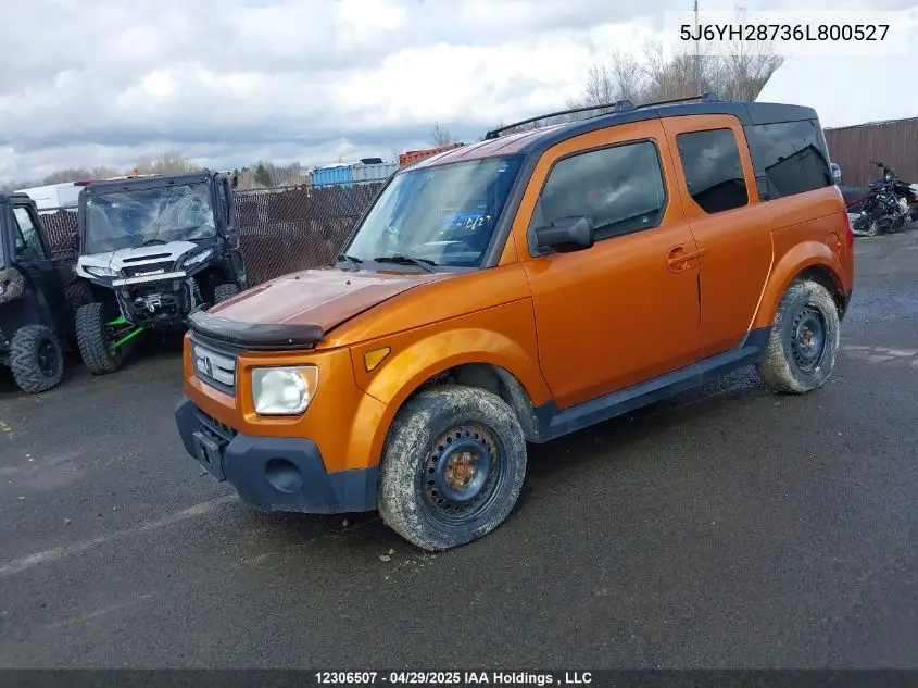 2006 Honda Element Y-Package VIN: 5J6YH28736L800527 Lot: 12306507X